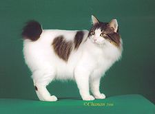 25_Nudawnz Tsuyagoto stand